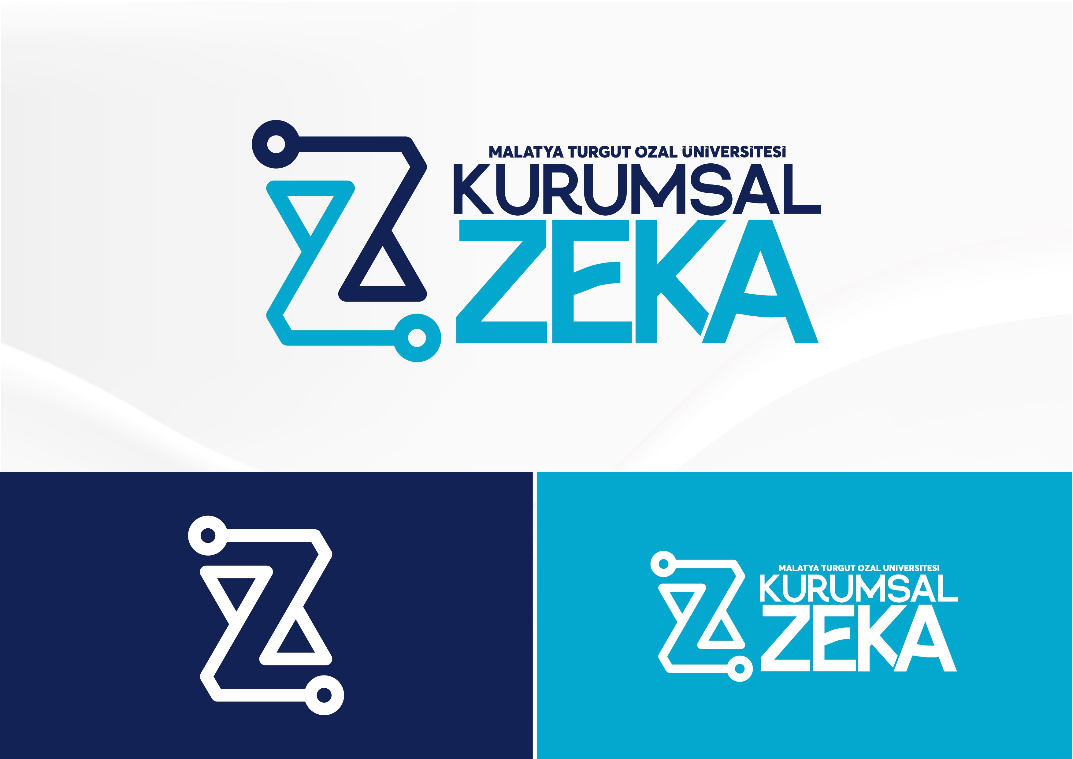 KURUMSAL ZEKA